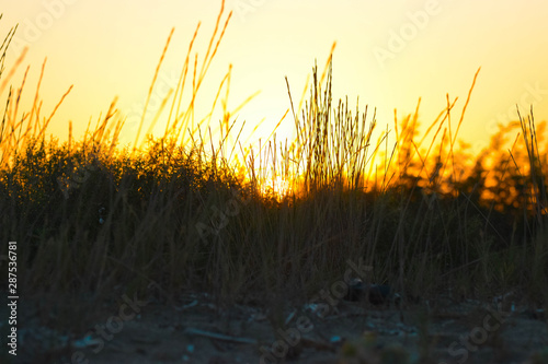 Black and orange background  sunset