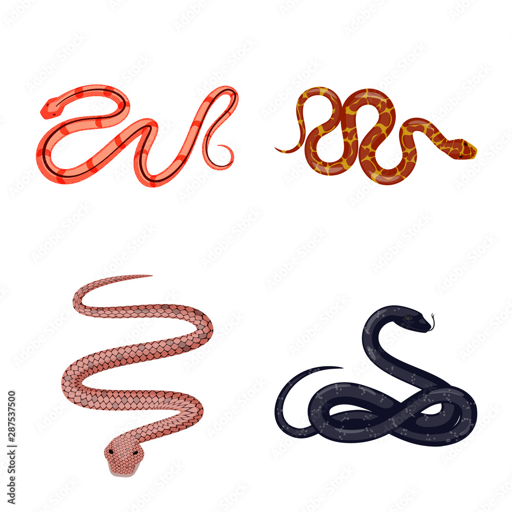 Vector design of poison and evil sign. Collection of poison and bite stock vector illustration. Vector design of poison and evil sign. Collection of poison and bite stock vector illustration.