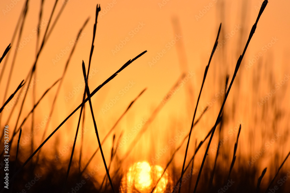 Obraz premium Black and orange background, sunset