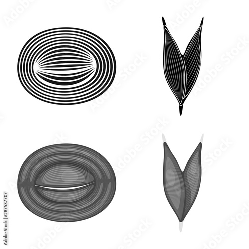 Isolated object of fiber and muscular sign. Collection of fiber and body vector icon for stock.