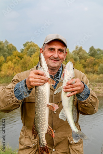 old fisherman and his catch - zander and pike