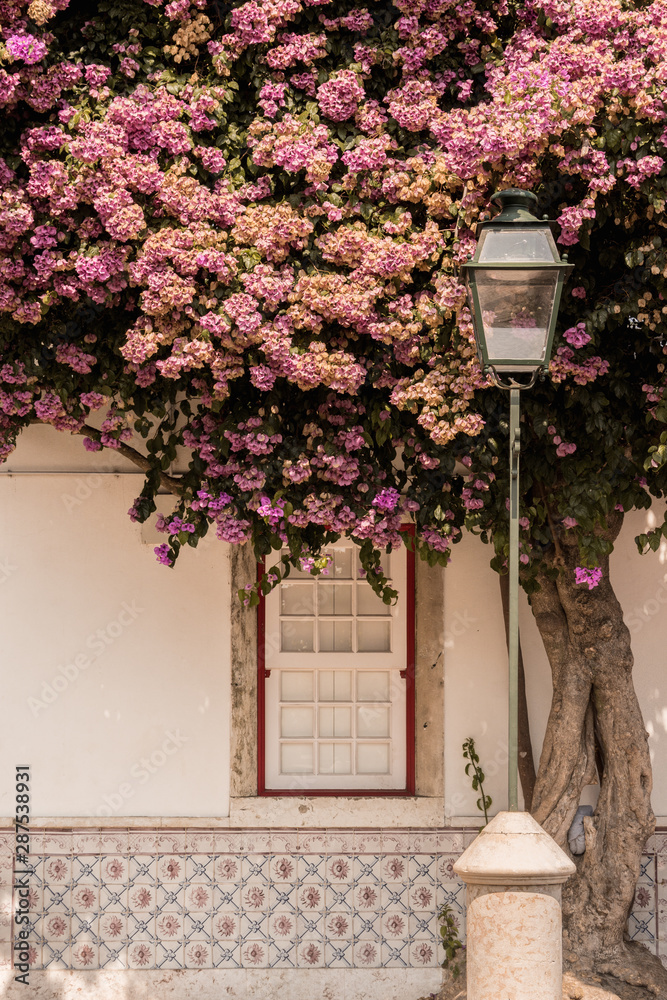 Naklejka premium Miradouro de Santa Luzia 