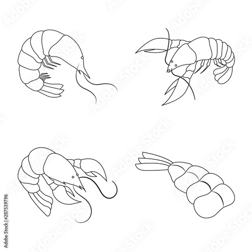 Vector illustration of food and sea icon. Collection of food and animal vector icon for stock.