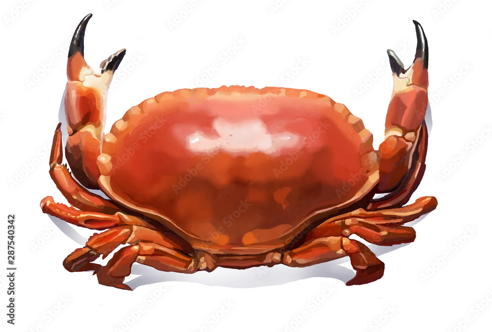 Hair crab, crab, bread crab, food, seafood, red crab, prismatic crab