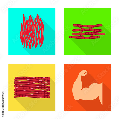 Isolated object of muscle and cells sign. Collection of muscle and anatomy stock vector illustration.