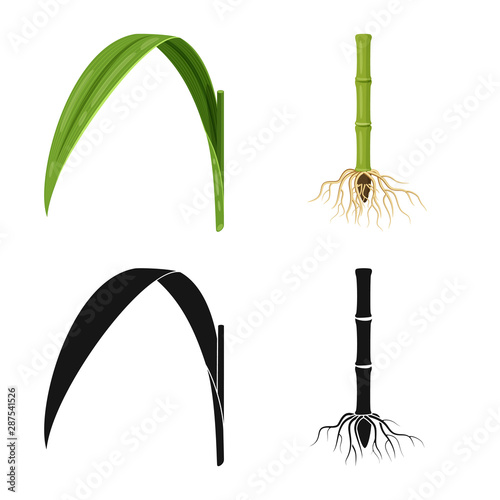Vector illustration of farm and agriculture logo. Set of farm and technology vector icon for stock.