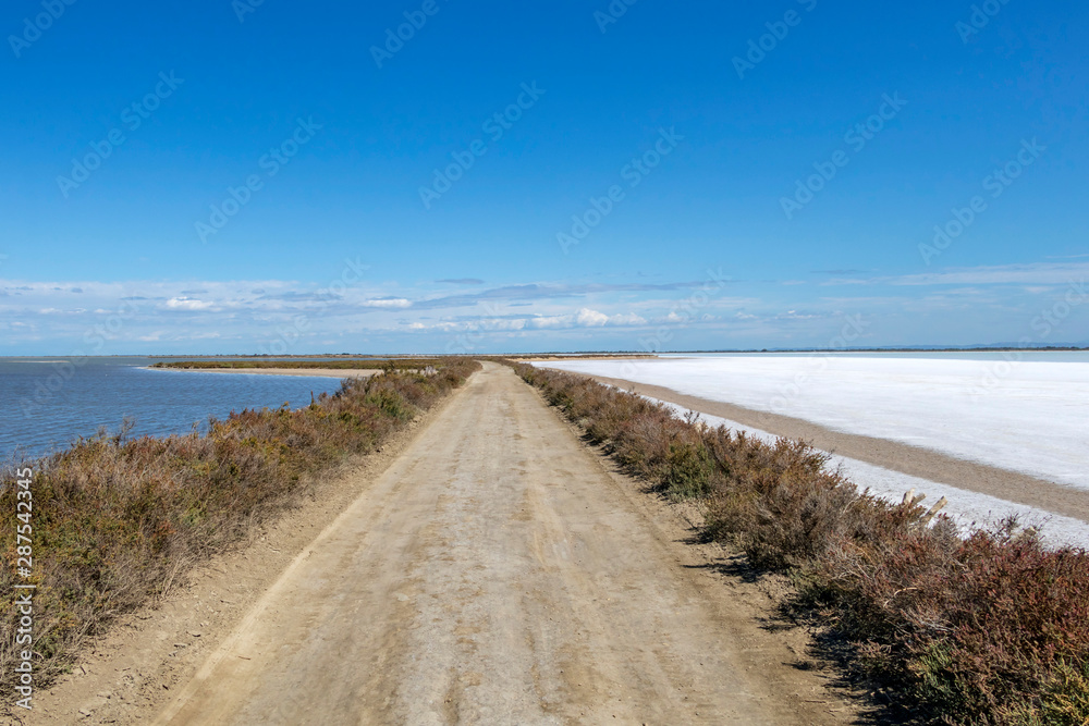 Empty road in Camargue through salt lagoons in Camarque regional nature reserve, Provence Alpes Cote Azur, France
