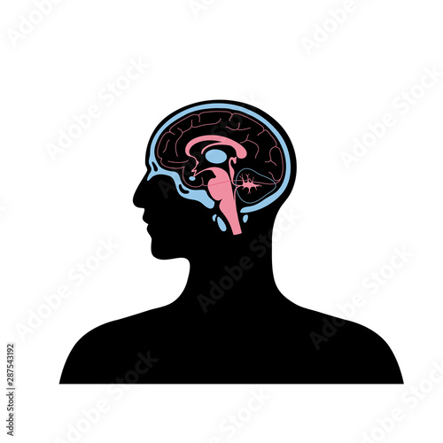 vector illustration of brain 
