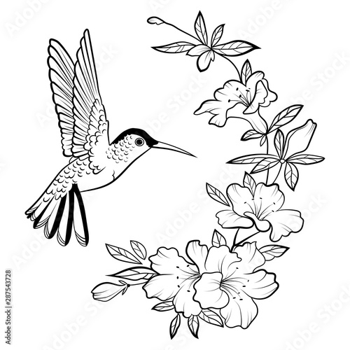 Vector illustration of a hummingbird. Stylized flying bird. Drawing with ornaments. Linear Art. Black and white drawing by hand. Tattoo.