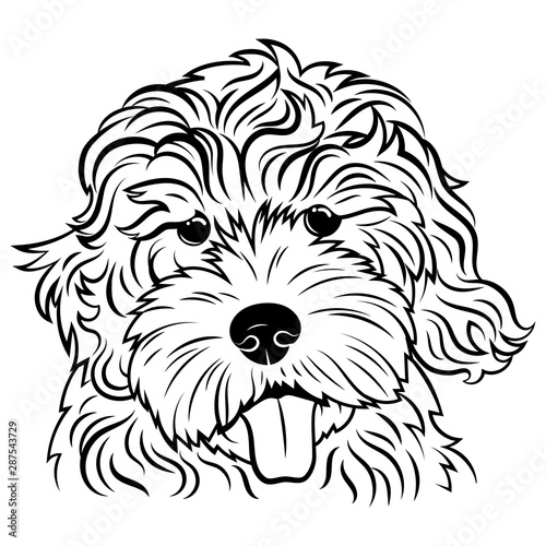 Portrait of a dog. Portrait of the breed golden doodle. Black white illustration of a fluffy dog. Print for clothes. Doodle. Tattoo.