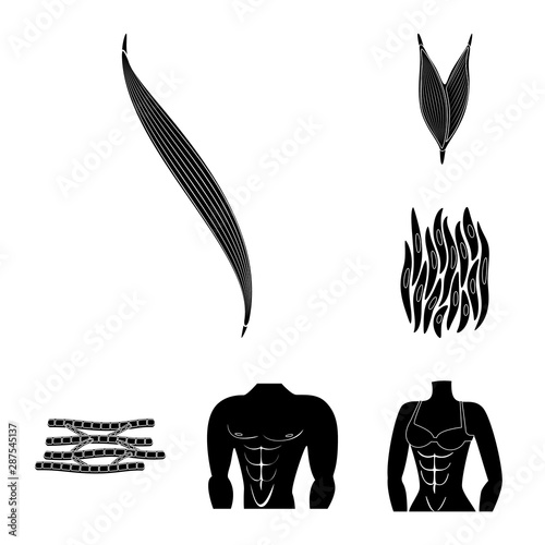 Isolated object of human and body icon. Set of human and cells stock symbol for web.