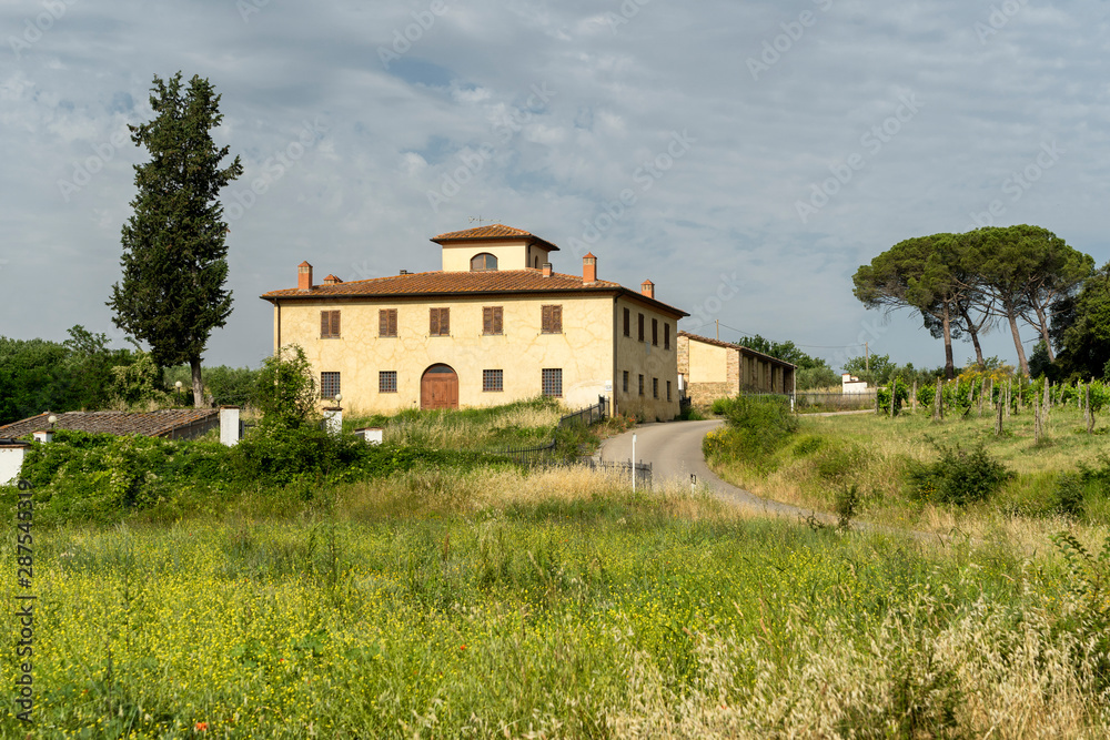Summer landscape in the Chianti region at summer Summer landscape in the Chianti region at summer