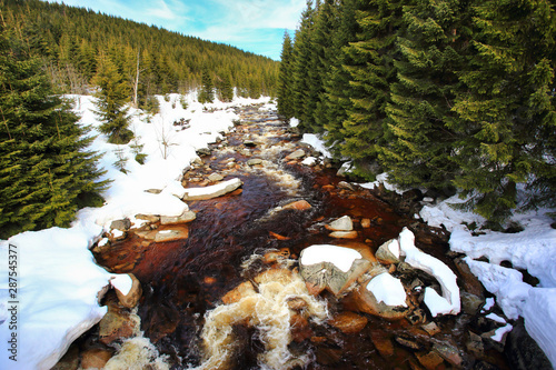 Fototapeta Naklejka Na Ścianę i Meble -  jizera izera river on a sunny snowy day, jizera valley in sudetes poland czech board