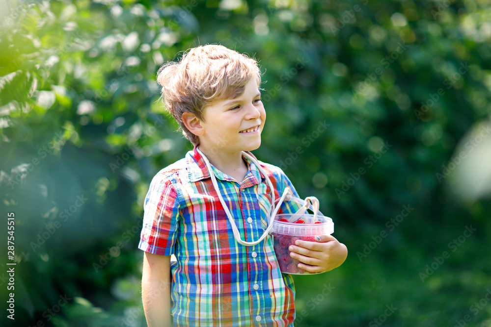 Cute little kid picking fresh berries on raspberry field. Cute little kid picking fresh berries on raspberry field.
