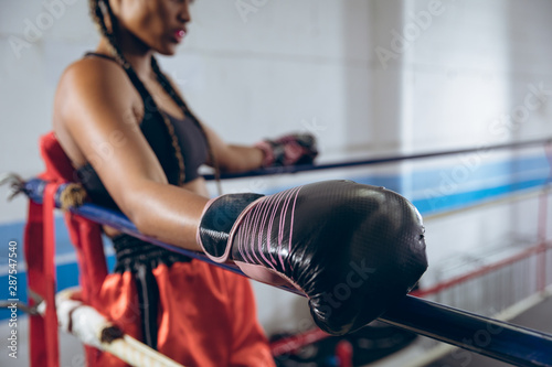 Boxer resting in corner of boxing ring photo