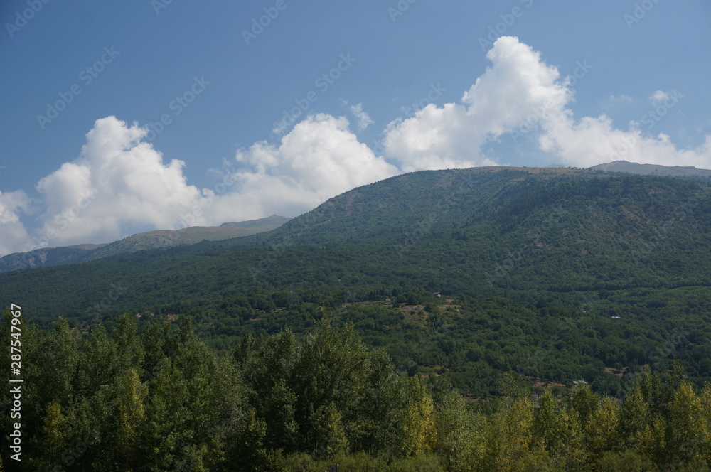 mountains covered with green forest