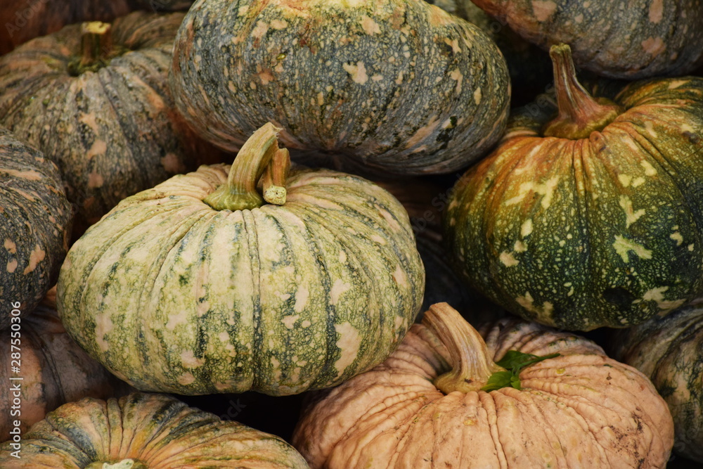 Green Pumpkins background Green Pumpkins background