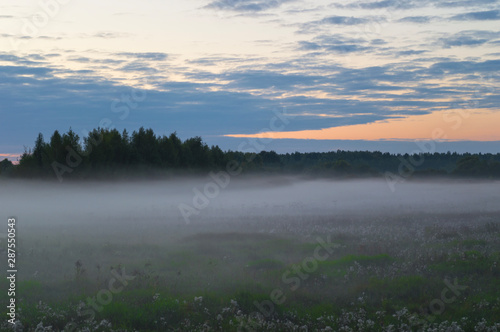 Fog over the plain © Сергей Охапкин