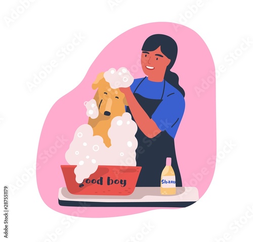 Dog washing service flat vector illustration