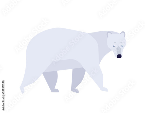 Polar bear flat vector illustration
