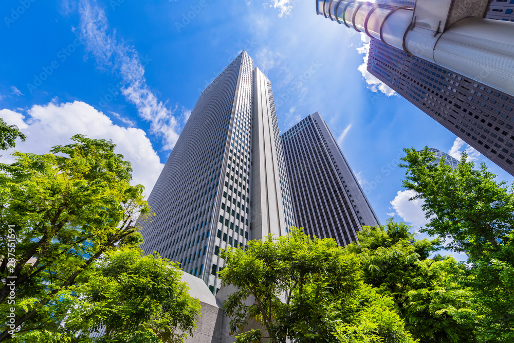 新緑の西新宿 高層ビル街の風景
