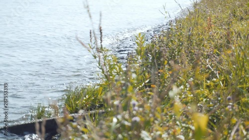 River, Lake shore with grass and lush nature. Panning frome Water to green coastline. photo