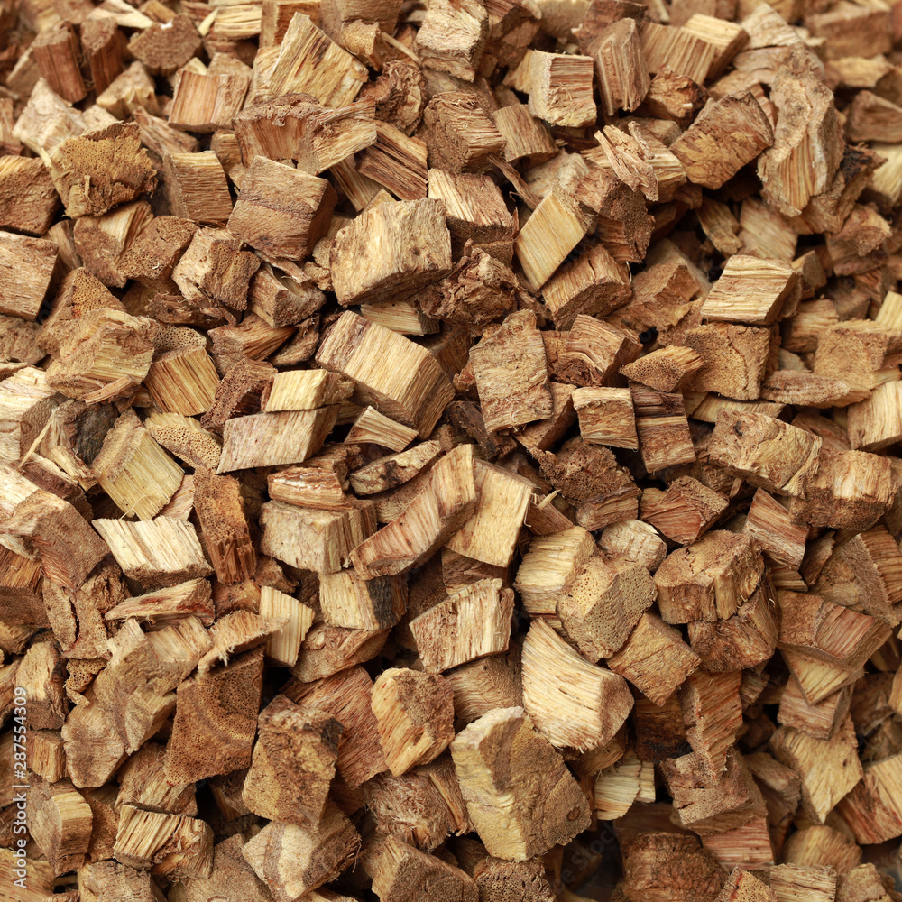 Root of kudzu vine,puerarin Isolated background Root of kudzu vine,puerarin Isolated background
