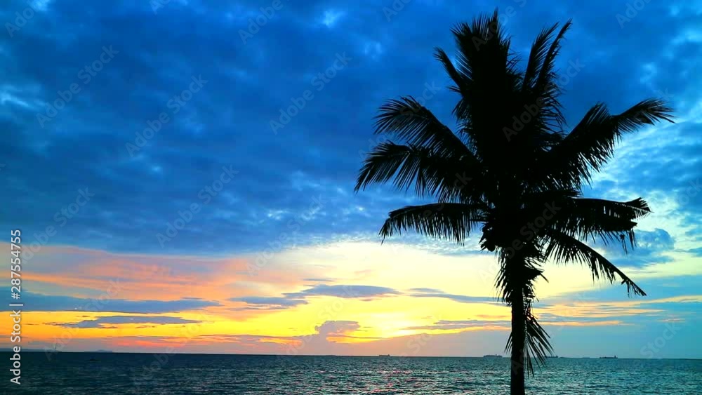 coconut sunset on sea and red cloud on sky