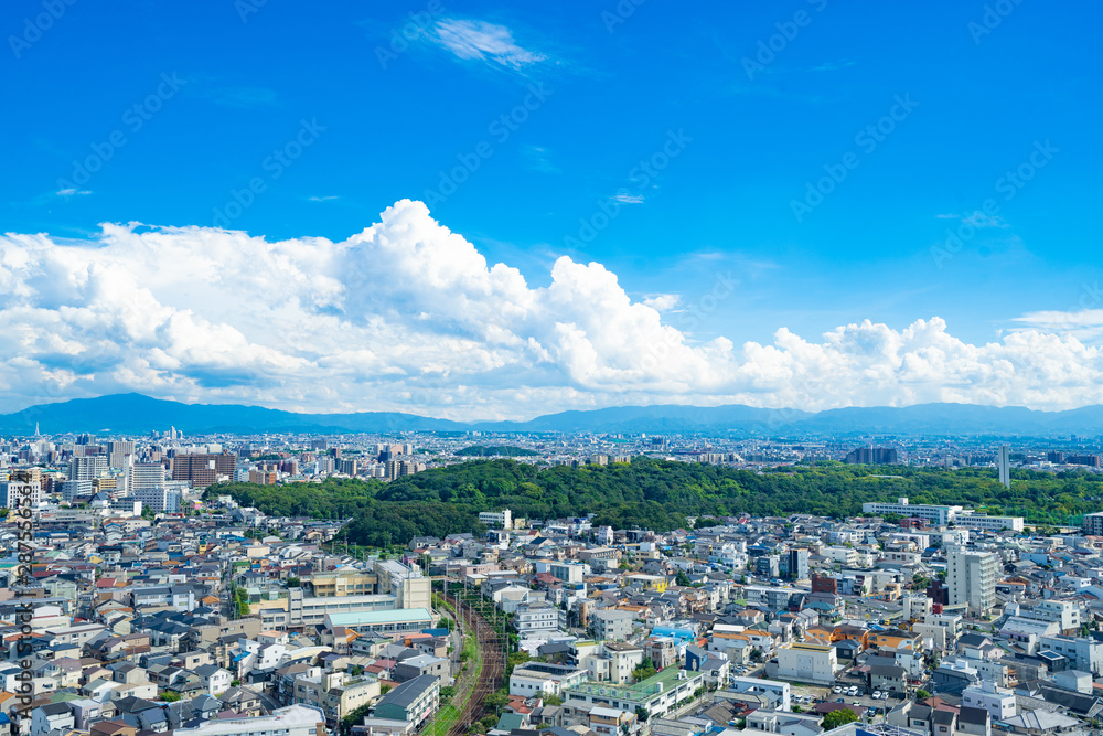 Fototapeta premium Urban Landscape of Osaka