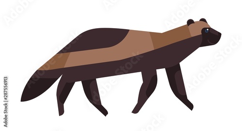 Gulo gulo flat vector illustration