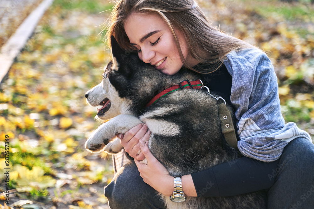 Young beautiful girl playing with her cute husky dog pet in autumn park covered with red and yellow fallen leaves