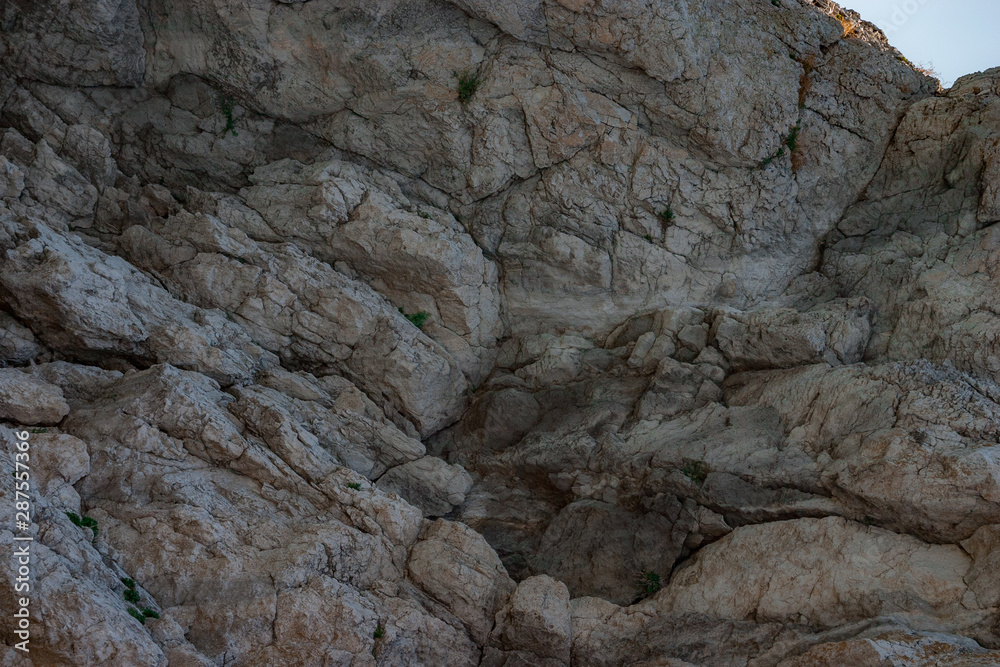 Fototapeta premium One of the Crimean mountains with rare bunches of plants in the beginning of summer
