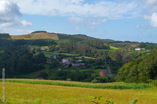Paisaje rural / Rural landscape. Bujantes. A Coruña. Galicia
