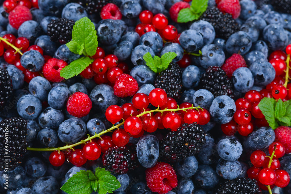 Blackberry, raspberry, blueberry, red currant and mint background. Blackberry, raspberry, blueberry, red currant and mint background.