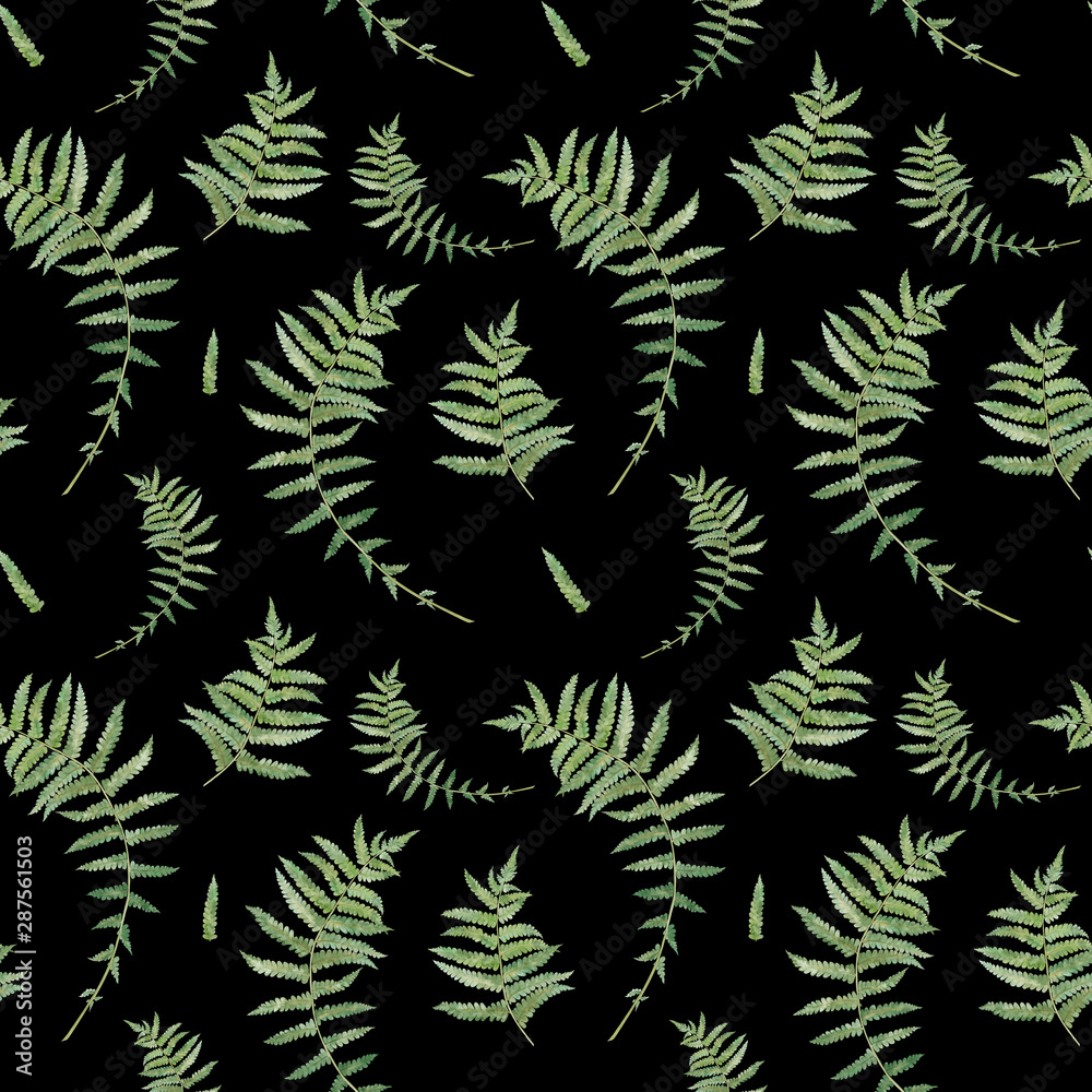 Fern leaves,  watercolor hand drawn seamless pattern with plant isolated on black background.