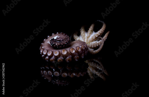 Obraz na plátně seafood octopus tentacle fish animal