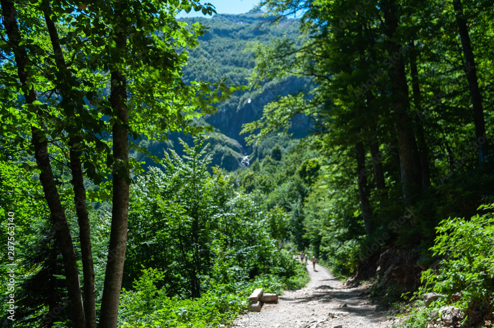 Mountain forest summer landscape - a path in a green forest to a waterfall on a rock on a slope of a high mountain of Caucasus Mountain forest summer landscape - a path in a green forest to a waterfall on a rock on a slope of a high mountain of Caucasus
