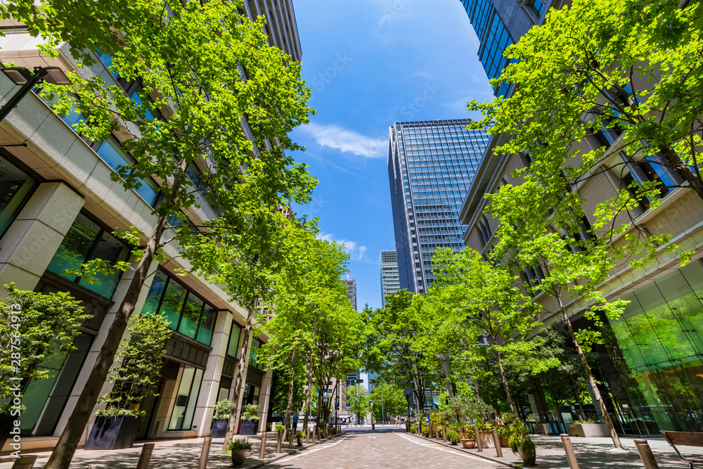 新緑の丸の内仲通りの風景 / The scenery of Marunouchi Nakadori Street where the greenery of the trees is bright. Chiyoda, Tokyo, Japan.