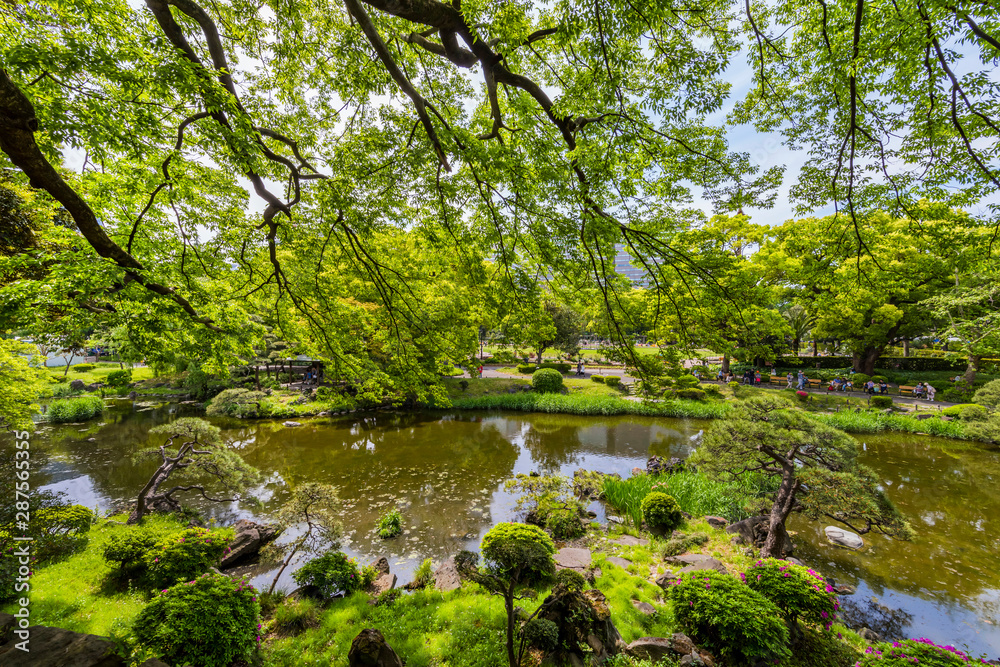 新緑の日比谷公園 心字池の風景