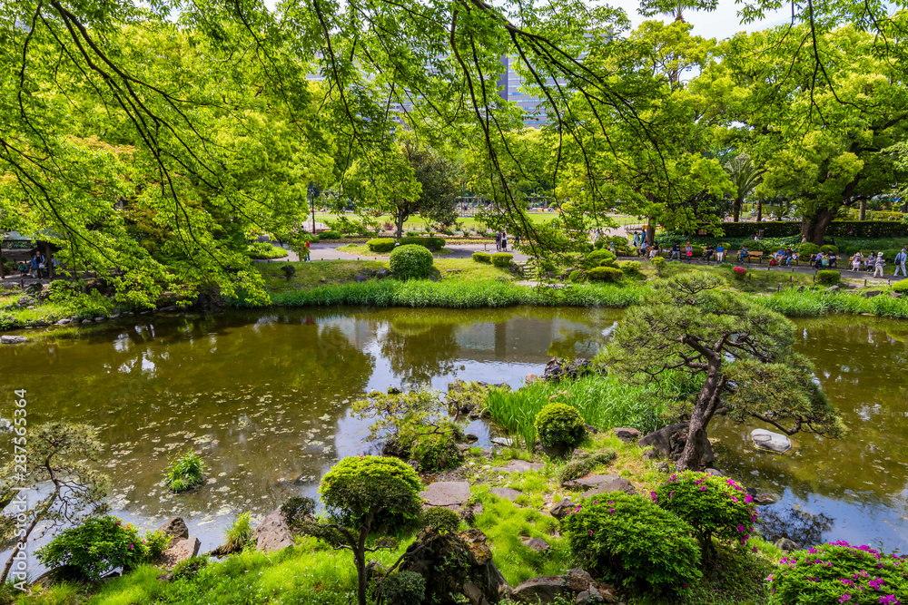 新緑の日比谷公園 心字池の風景 新緑の日比谷公園 心字池の風景