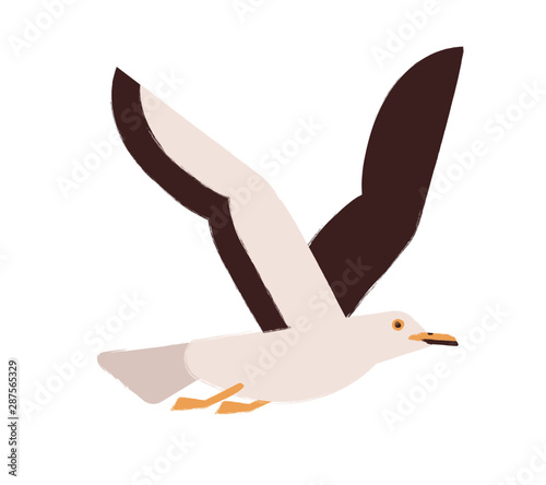 Flying gull with wings up flat vector illustration