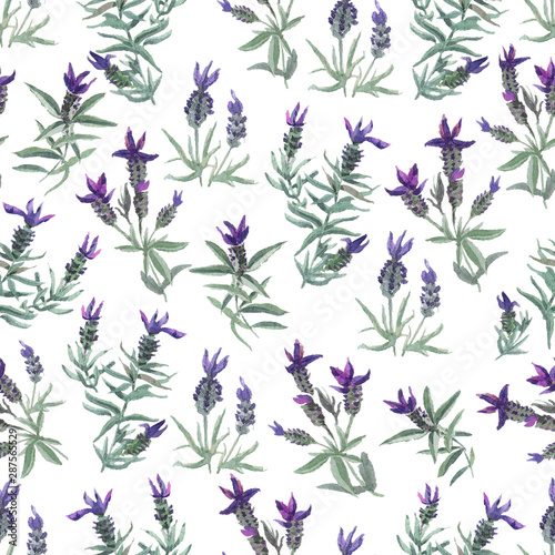 watecolor French lavender delicate seamless pattern on white background