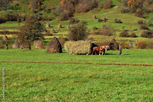 Autumn in Maramures, Romania photo