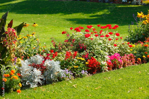 Blühende bunte Sommerblumen, Blumenbeet an einer Rasenfläche