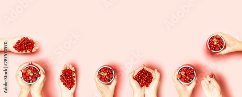 Female hands are holding in their hands various types of berries raspberries, strawberries and currants on a pink background photo