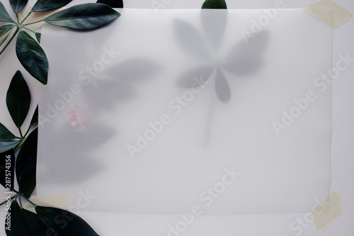 Tropical leaves with paper on white table. Flat lay, closeup view