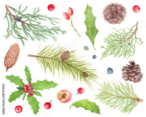 Watercolor hand drawn Christmas plant and berries set with fir branches, juniper, holly, rose hip, cone isolated on white background. 