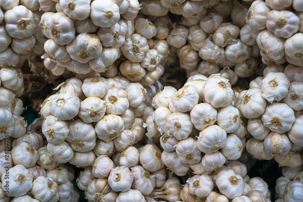 Bundles of Garlic for sell at fresh market in Thailand. Bundles of Garlic for sell at fresh market in Thailand.