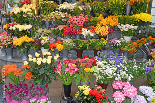 flower shop on the street in Vienna © irisphoto1