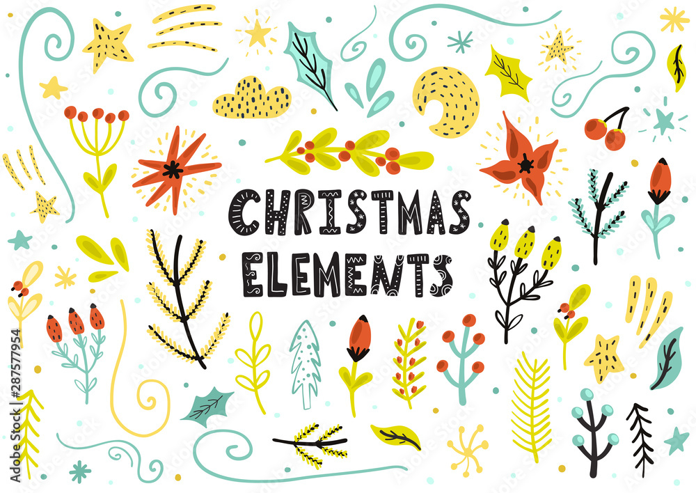 Christmas floral elements collection